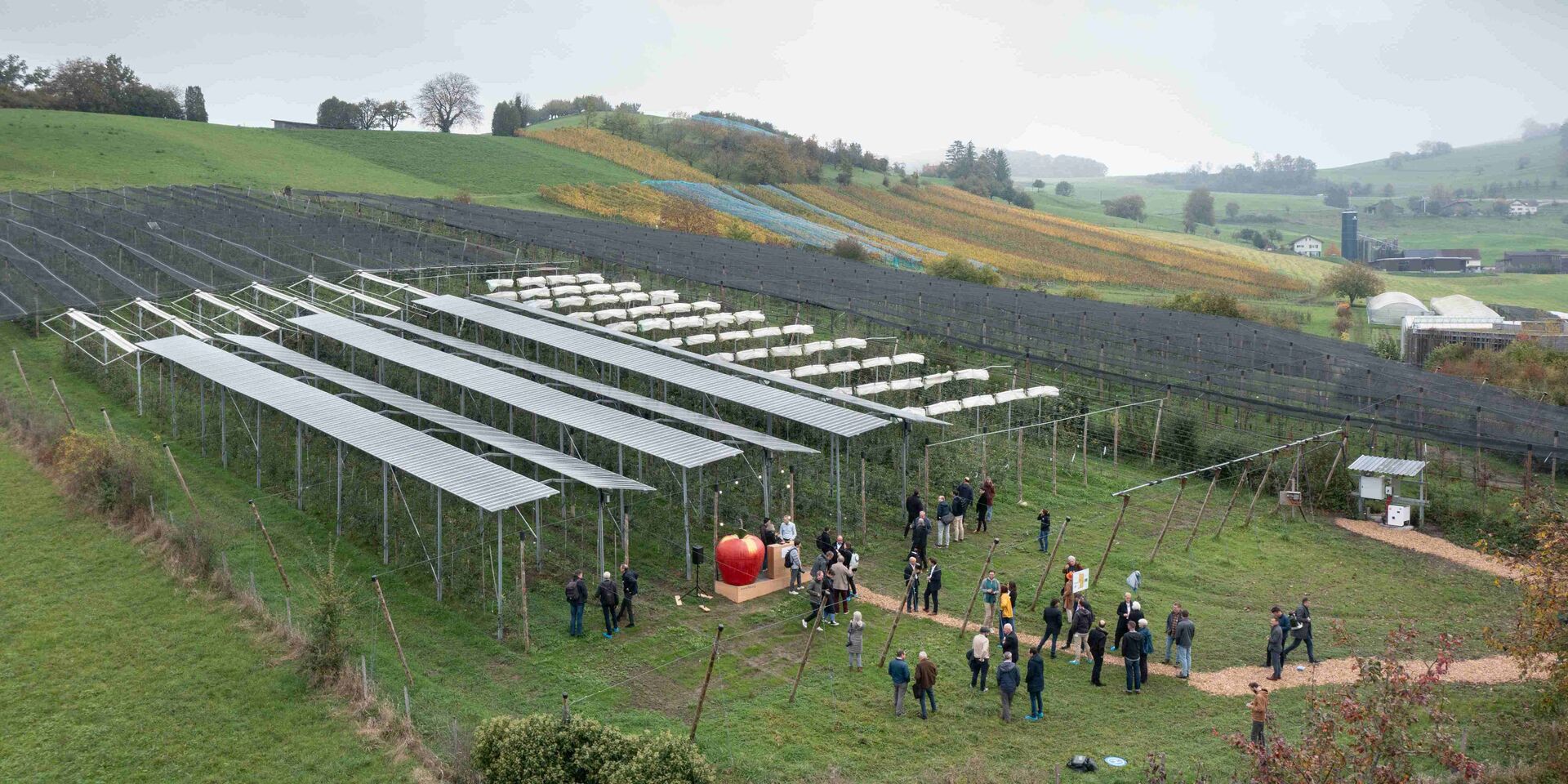 Agri-PV: AgriSolar-Forschung Kt. AG